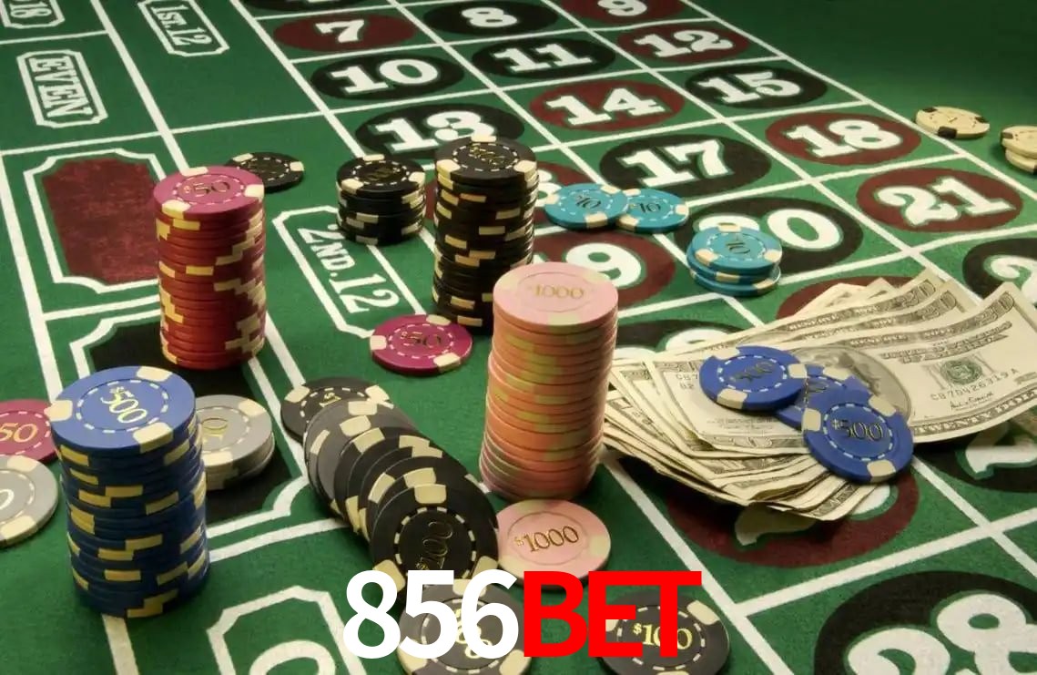 Statistics 856bet