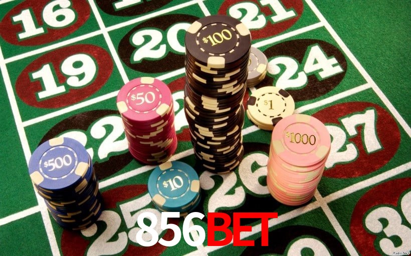 Experiência VIP 856bet
